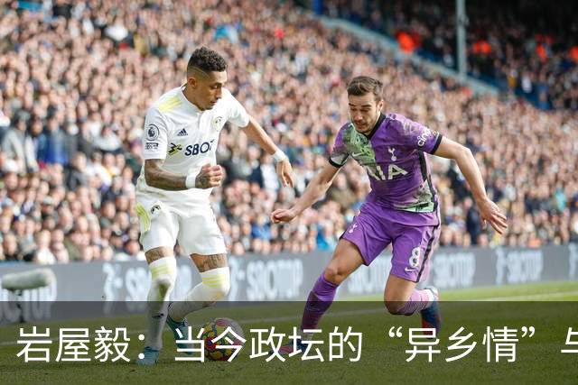 岩屋毅：当今政坛的“异乡情”与“吸烟哲学