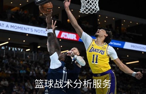 篮球战术分析服务简介
